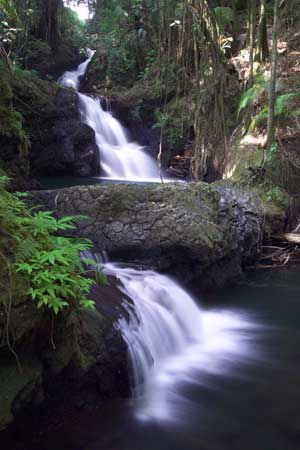 Onomea Falls