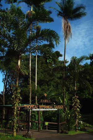 Hawaii Tropical Garden Gate