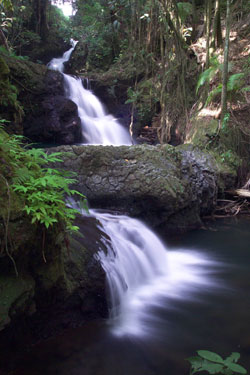 Onomea Falls